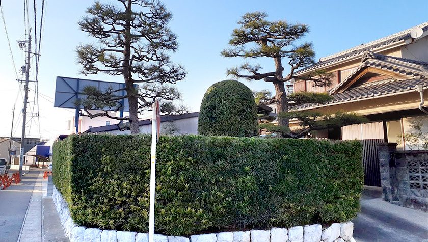 浜松市中央区個人宅の刈り込み・剪定作業