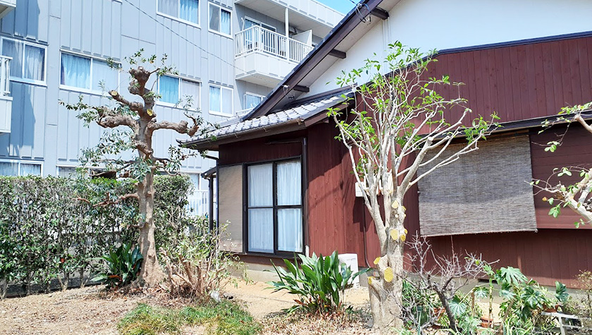浜松市中央区個人邸の剪定・除草作業