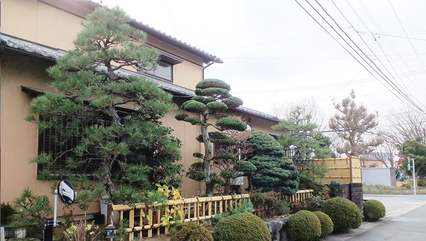 浜松市中央区個人宅の樹木剪定・刈込作業