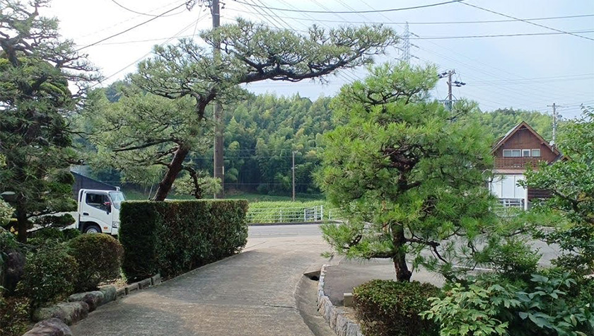 浜松市中央区個人宅の剪定作業