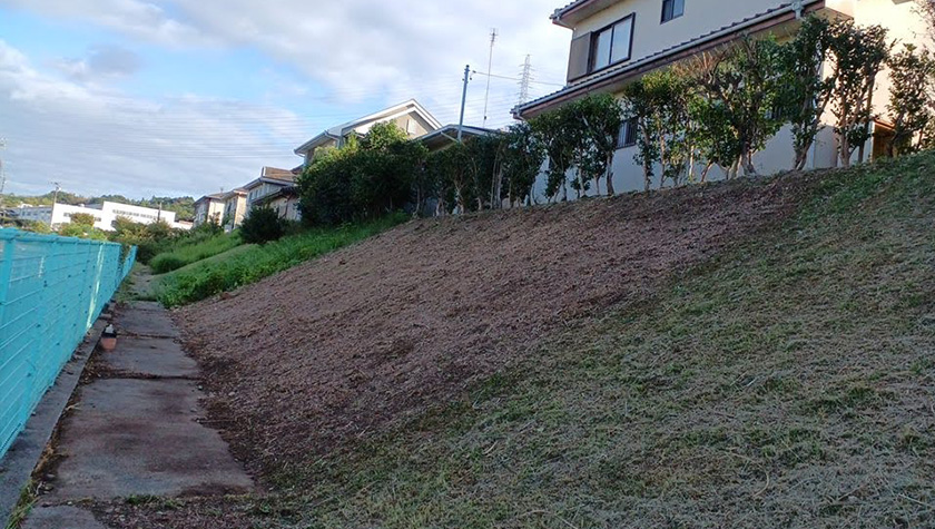 浜松市浜名区個人宅の法面除草、樹木剪定作業