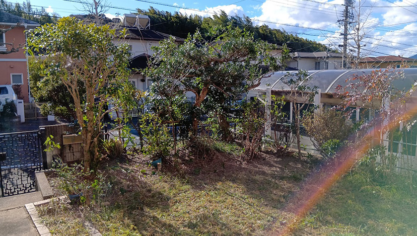 浜松市浜名区空き家の剪定作業