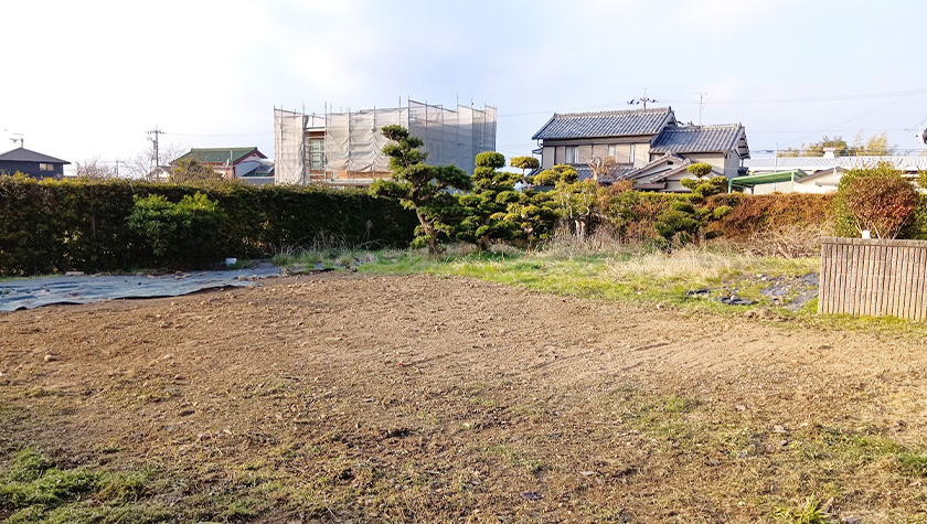 浜松市中央区個人宅の樹木伐採・抜根作業