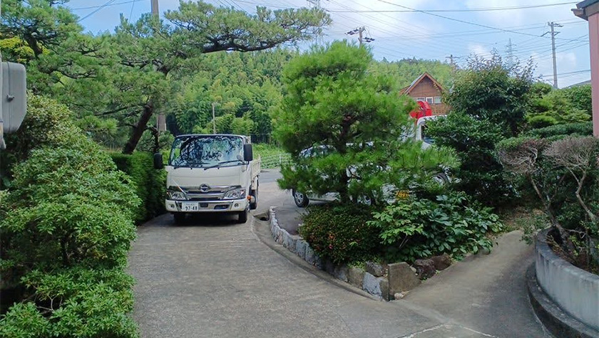 剪定前