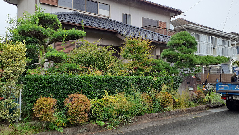 before75.jpg 剪定前